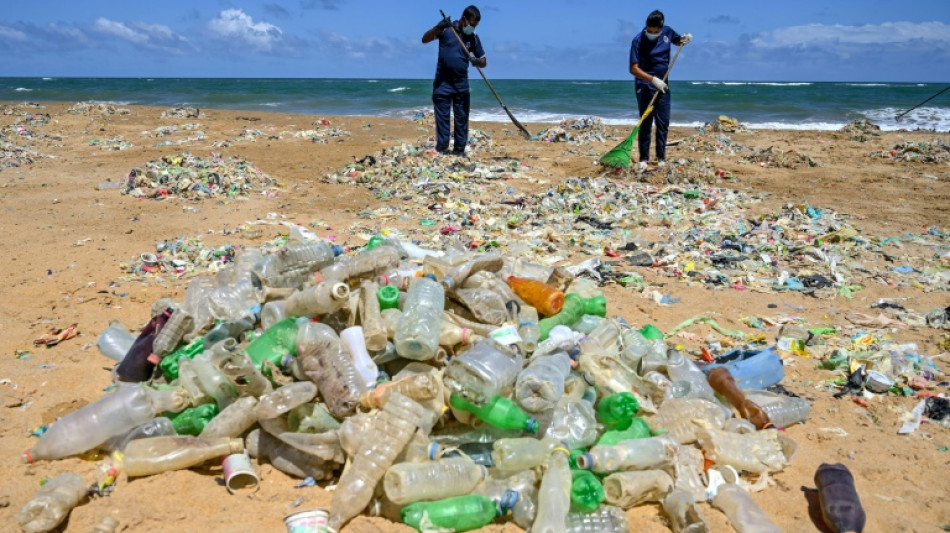 La pollution plastique et chimique a dépassé les "limites" de la planète