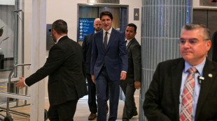 Nach Zoll-Drohung gegen Kanada: Trudeau trifft Trump in Florida