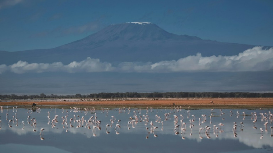 La Tanzanie déploie l'armée face à un feu sur le Kilimandjaro