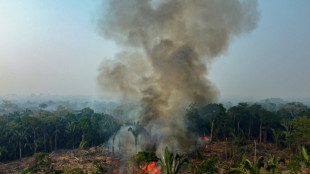 Brasil registra recorde de incêndios florestais entre janeiro e abril