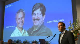 Medizin-Nobelpreis geht an RNA-Forscher Victor Ambros und Gary Ruvkun aus den USA