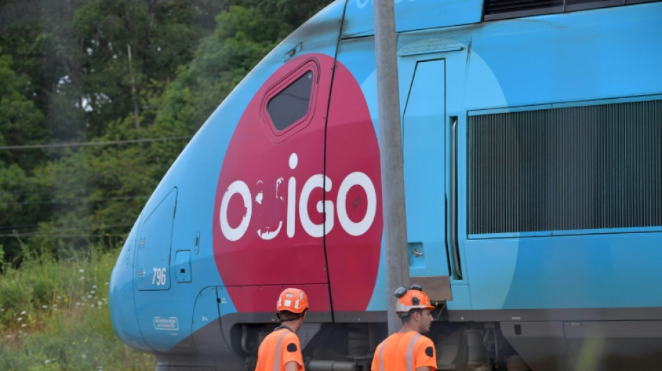 El tráfico ferroviario en Francia, todavía alterado por el sabotaje