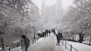 New York et le nord-est américain paralysés par une tempête de neige