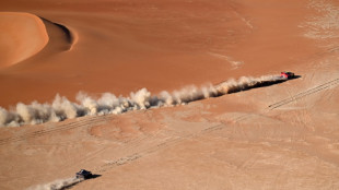 Loeb gana la 7ª etapa del Dakar y mete presión a Carlos Sainz