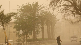 Dozens hospitalised as Iraq gripped by dust storm