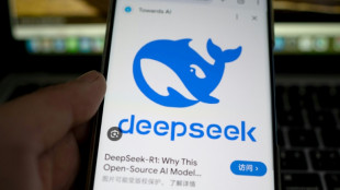 South Korea watchdog to question DeepSeek over user data