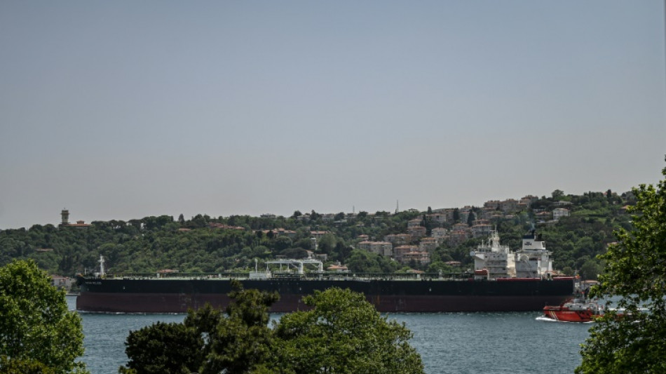 Bosphorus sea trade unaffected by Ukraine war, sanctions 