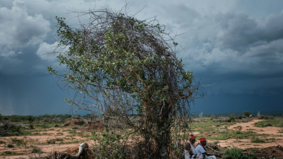 Jeûne mortel dans une secte au Kenya: le bilan monte à 89 morts