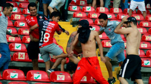 Ten arrested over Mexico football brawl 