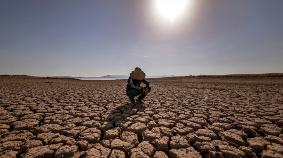 Drought tightens its grip on Morocco