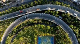 Between Bangkok's mega highways, 'pocket parks' sprout