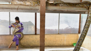 Pythons on your porch? Call Myanmar's 'Snake Princess'