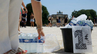 Más de 61.000 personas murieron de calor en Europa en el verano de 2022