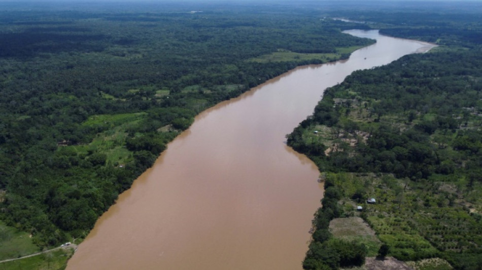 Record heat, forest fires in Colombia's Amazon in January