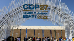 Marcas de moda y proveedores forcejean sobre transición climática en la COP27