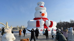 China's frigid northeast thrives on 'little potato' tourism boom