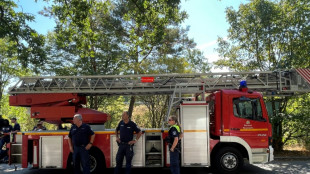 Feuer im Berliner Grunewald weitgehend gelöscht - Bahnverkehr kann wieder rollen