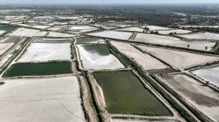 Trop gourmandes en eau, les fermes piscicoles d'Irak mises au régime sec