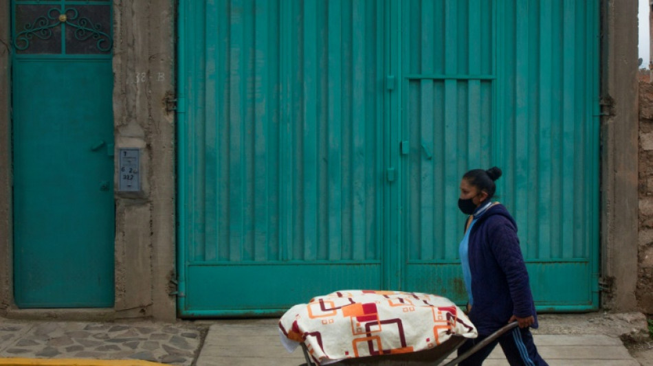 Unemployment, pay gap, instability the pandemic legacy for Peru's women