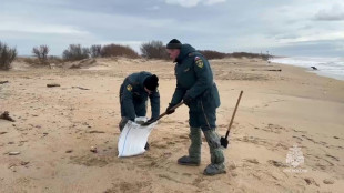 Tradicional baño de mar invernal en el sur de Rusia pese a la marea negra