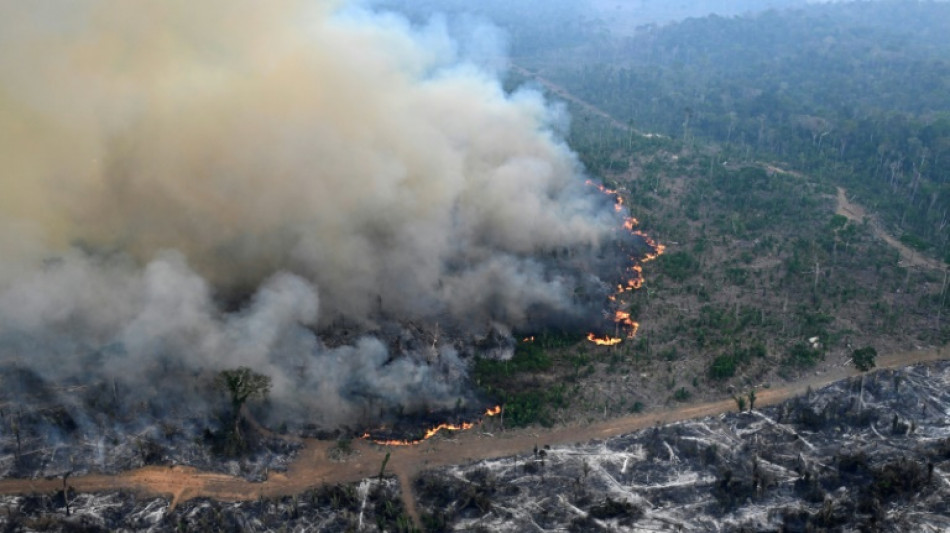 Déforestation et incendies: alertes tous azimuts sur l'Amazonie