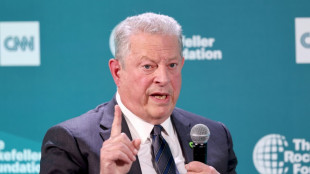 Gore says climate progress 'won't slow much' because of Trump