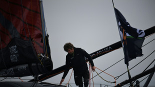 Vendée Globe: Richomme reprend la tête à Dalin après 15 jours