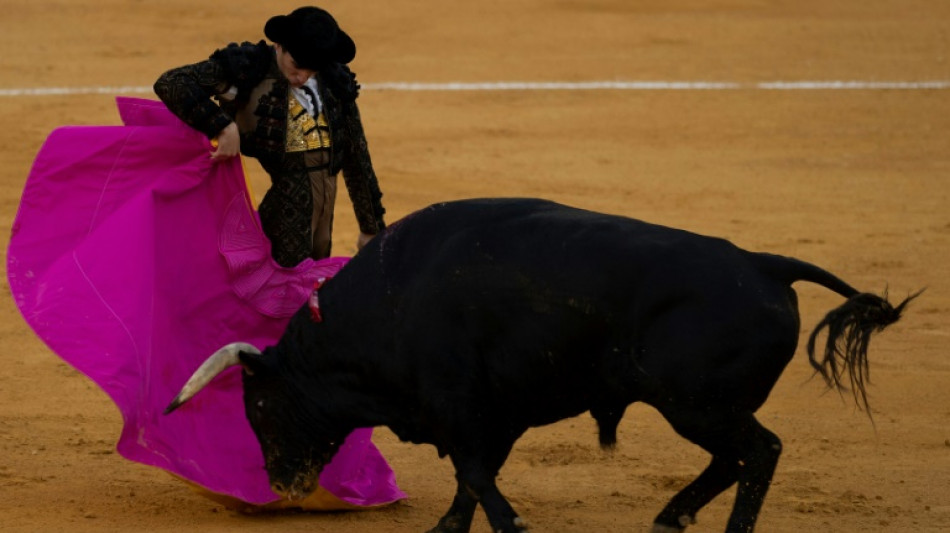 Cancelamento do Prêmio Nacional de Touradas gera polêmica na Espanha