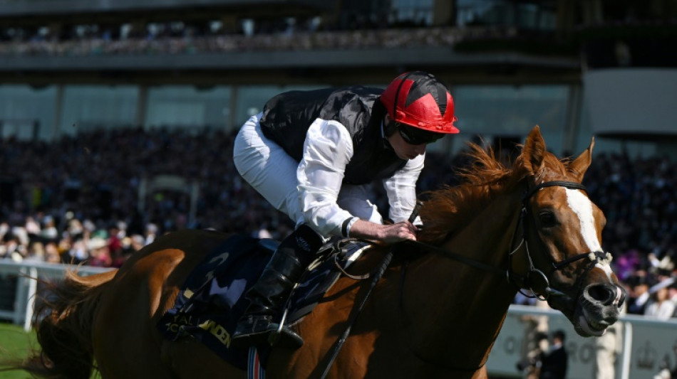 Outsider Anmaat stars on British Champions Day
