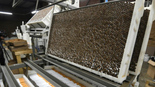 Una reunión mundial acuerda reforzar el seguimiento a los productos del tabaco