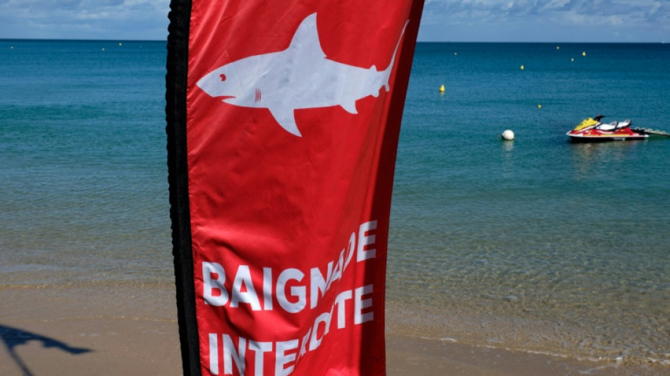 French Pacific archipelago divided over shark hunt