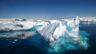 Hitzewelle bei -30 Grad Celsius: Winter in der Antarktis außergewöhnlich warm