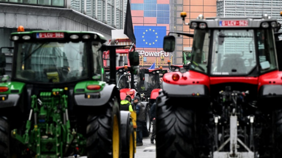 Un an après les manifestations, l'UE dévoile sa "vision" pour le monde agricole