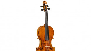 Rare Stradivarius sells for near-record $15.3 million