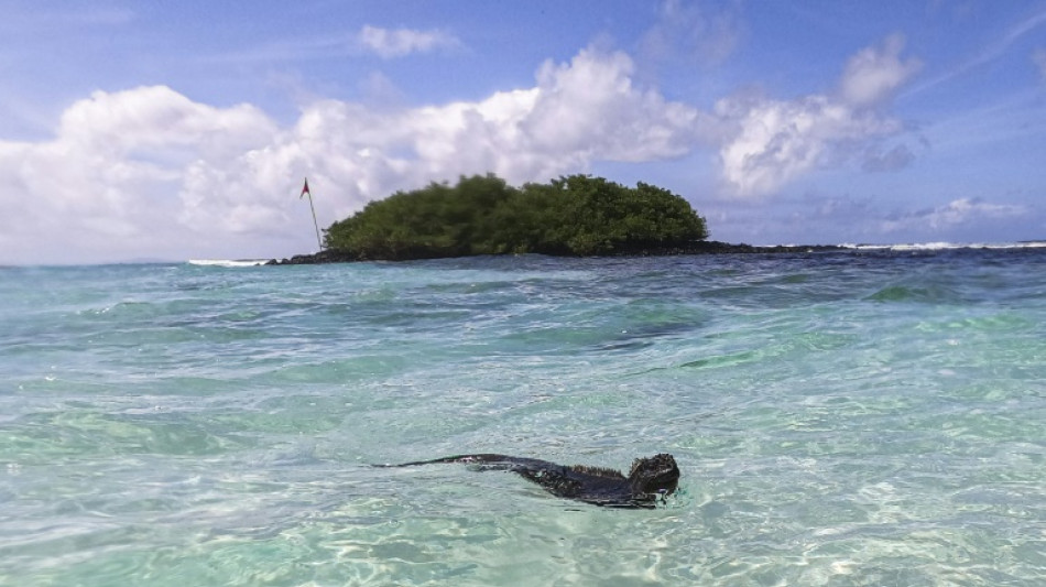 El Niño, la mayor amenaza en décadas para las especies vulnerables de Galápagos