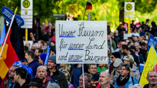 Angriffe auf Journalisten und Hitlergrüße - Polizei zieht Bilanz nach AfD-Demo