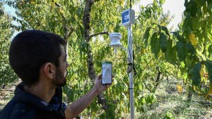 Smart farming tech offers sprout of hope in Greece