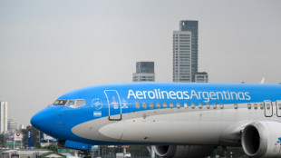 Milei declara "sujeta a privatización" a la estatal Aerolíneas Argentinas