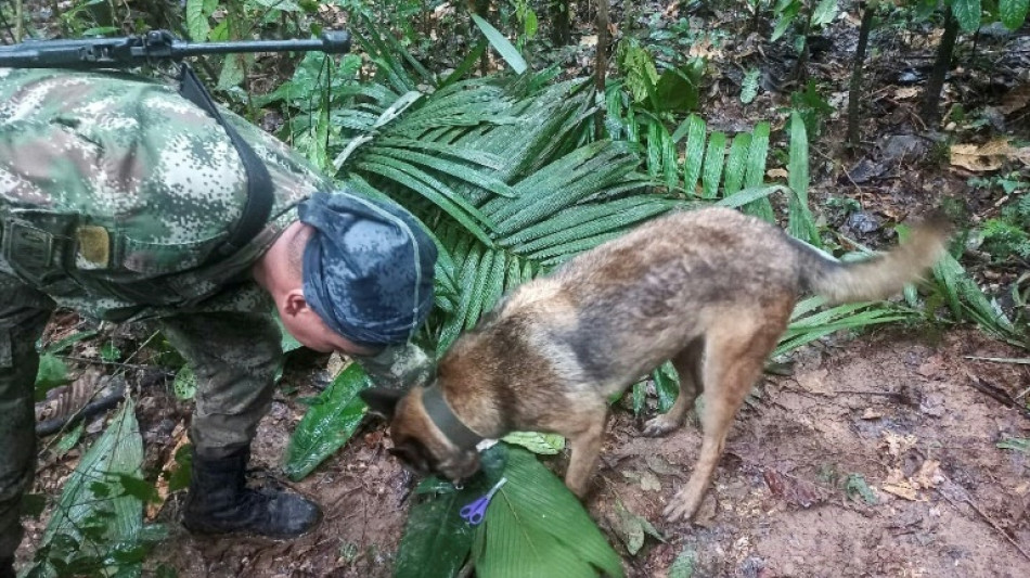 Quatre enfants, dont un bébé, ont survécu seuls 15 jours dans l'Amazonie colombienne