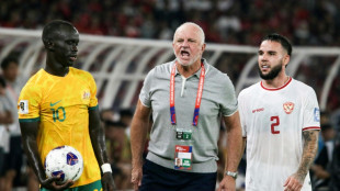 Graham Arnold dimite como entrenador de la selección de fútbol de Australia