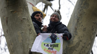 A Toulouse, audience "cruciale" sur les recours contre l'autoroute A69