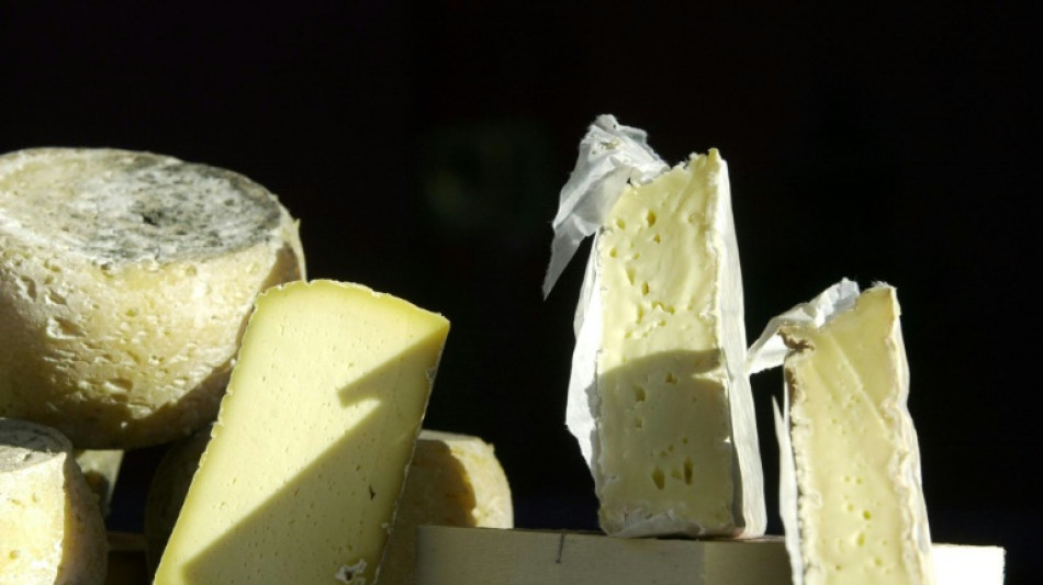 72 personnes malades de la salmonellose après avoir consommé des fromages fermiers "Le Chasteau"