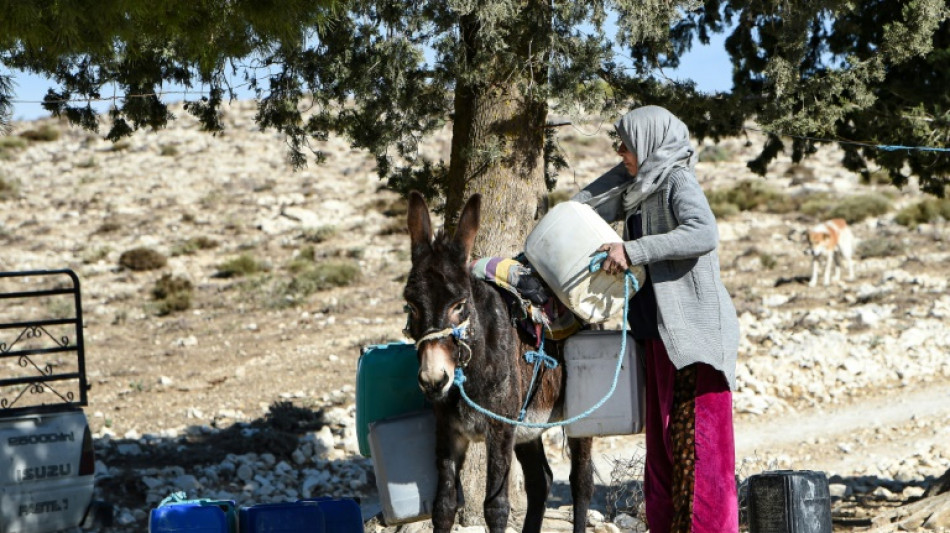 'Living dead': Tunisian villages suffer drought, climate change