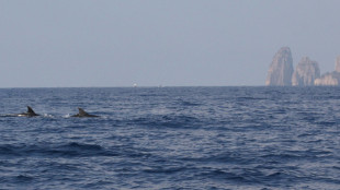 I suoni del mare per studiare gli ecosistemi sommersi