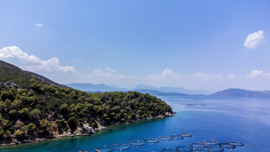 L'aquaculture dans le monde dépasse pour la première fois la pêche, selon la FAO