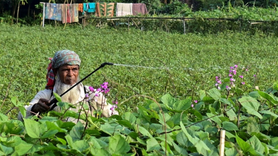 El FMI concede 4.500 millones de dólares de ayuda a Bangladés