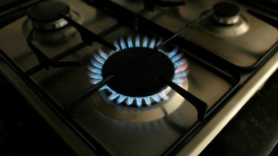 UK gas reserves 'concerningly low', warns biggest supplier