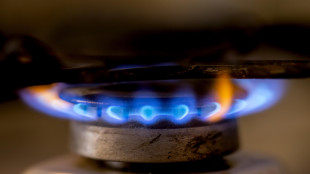 Il prezzo del gas chiude in calo del 3,5%