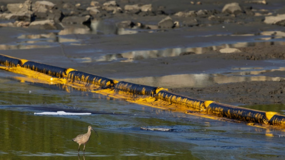 Pipeline-Betreiber zahlen nach Ölpest in Kalifornien 13 Millionen Dollar