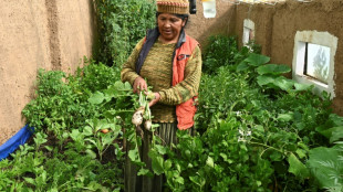 Mujeres en Bolivia combaten la pobreza con huertos domésticos orgánicos